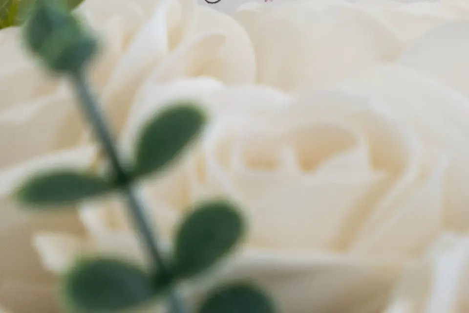 Corté France — photo 6