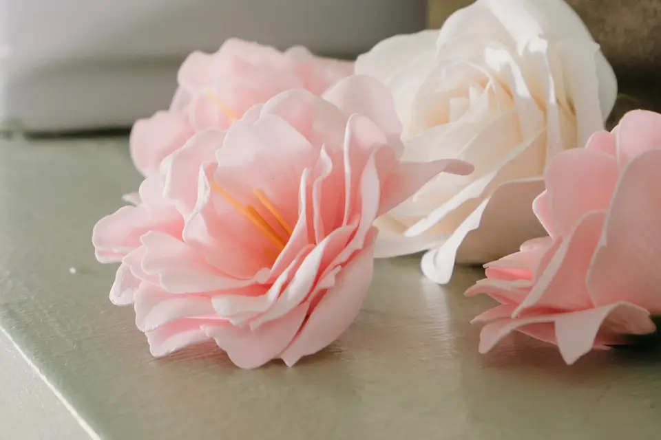 Corté France — photo 5