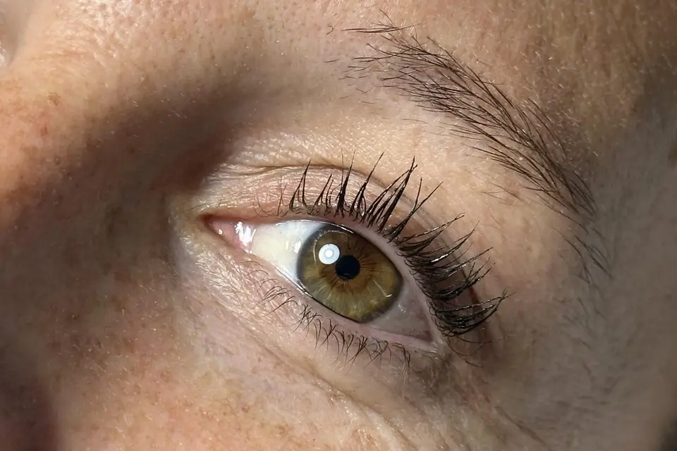 Tiphaine Institut — photo 8