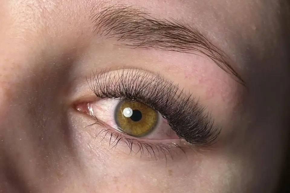 Tiphaine Institut — photo 1