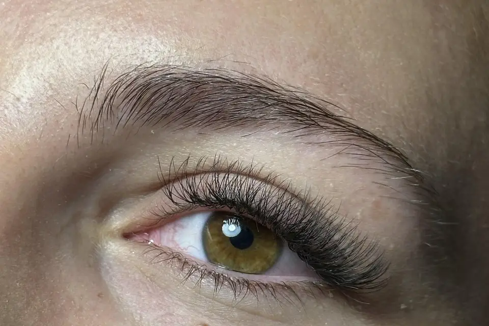 Tiphaine Institut — photo 7