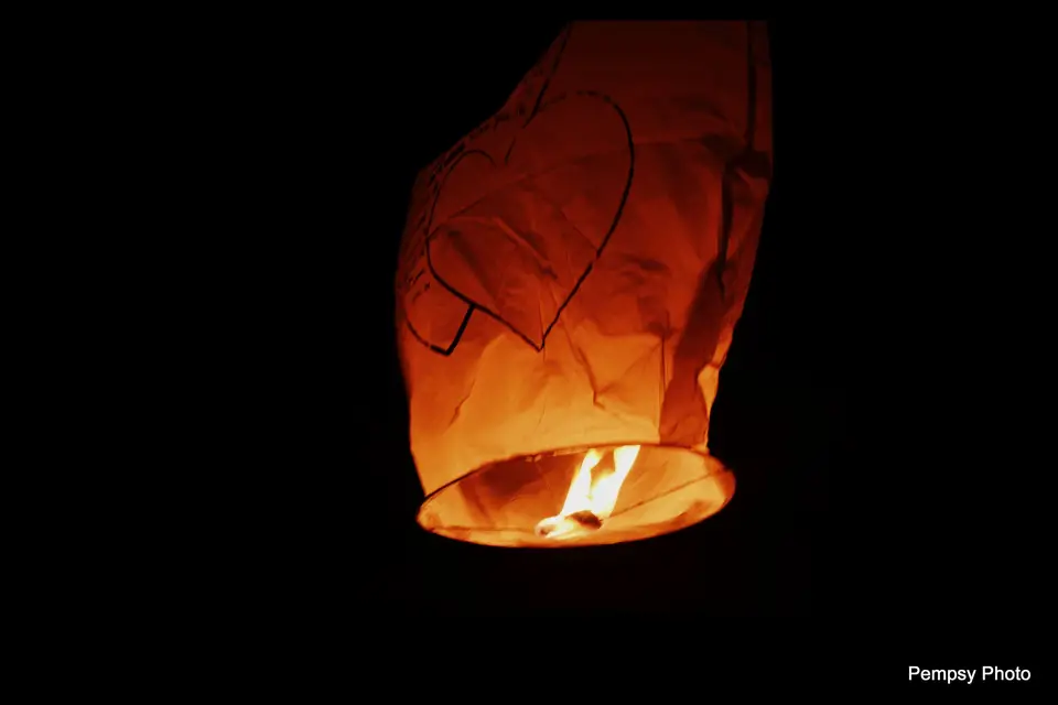 1 Oui pour La Vie — photo 6