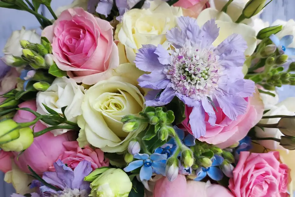 La Fée des Fleurs — photo 7