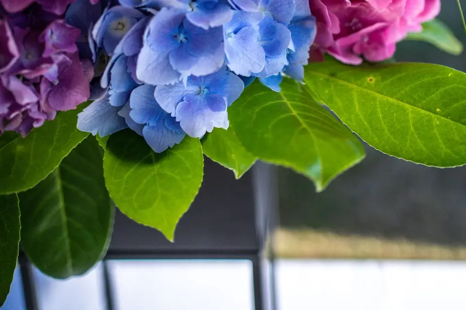 Graine d'émotion — photo 7