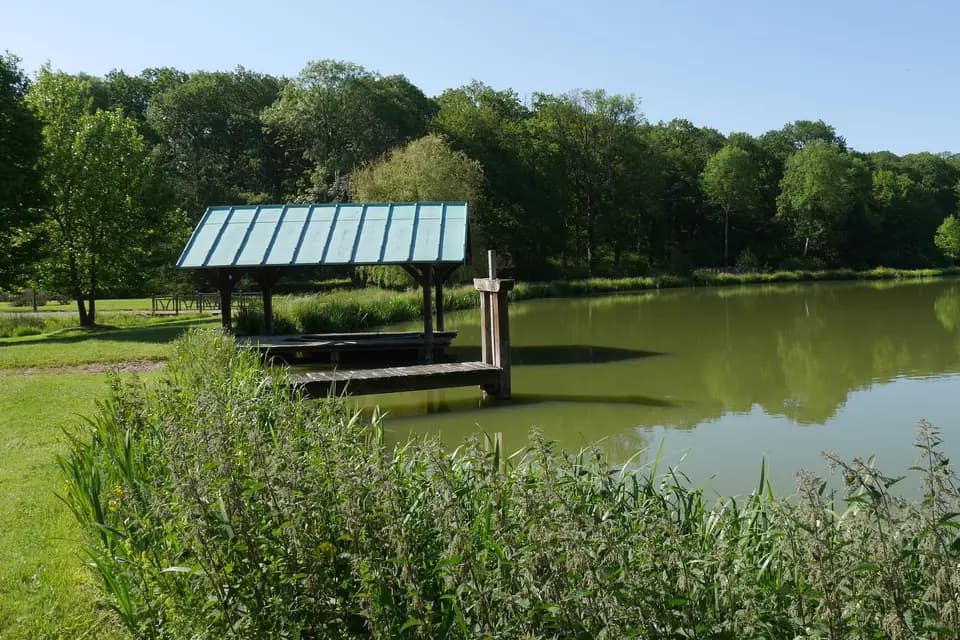 La Villa du Grand Parc — photo 2