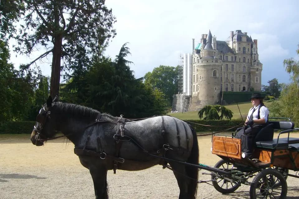 De l'Âne aux Traits — photo 1