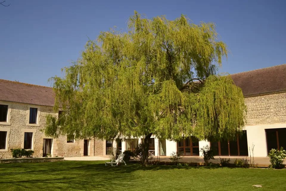 Au Domaine de Cauvicourt — photo 7