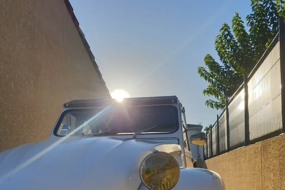 Deuche Family — photo 8