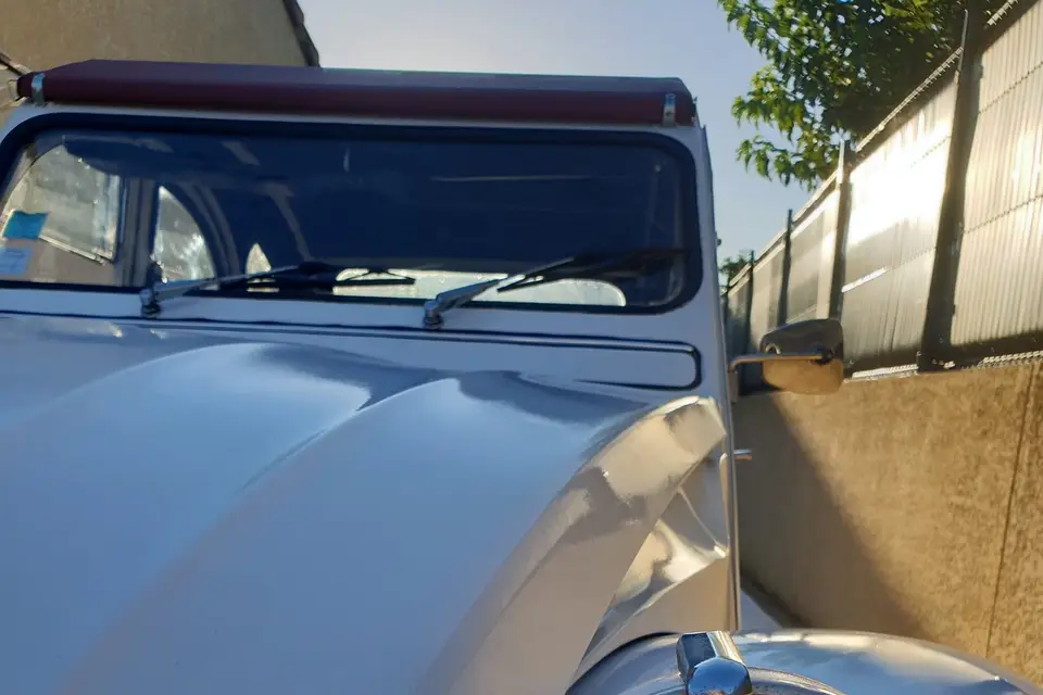 Deuche Family — photo 4