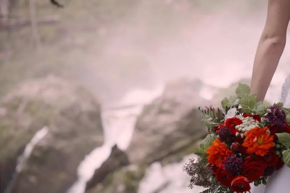 Blue Cam Productions — photo 4