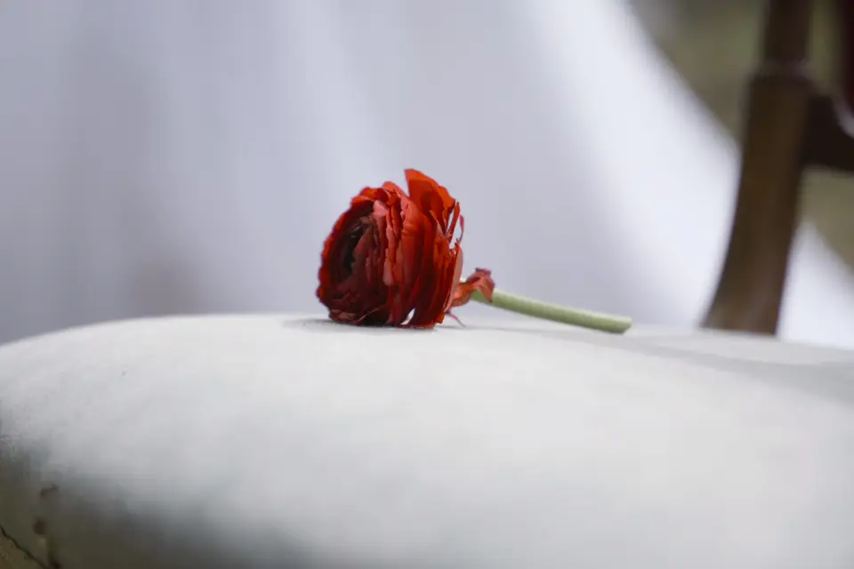 Blue Cam Productions — photo 7