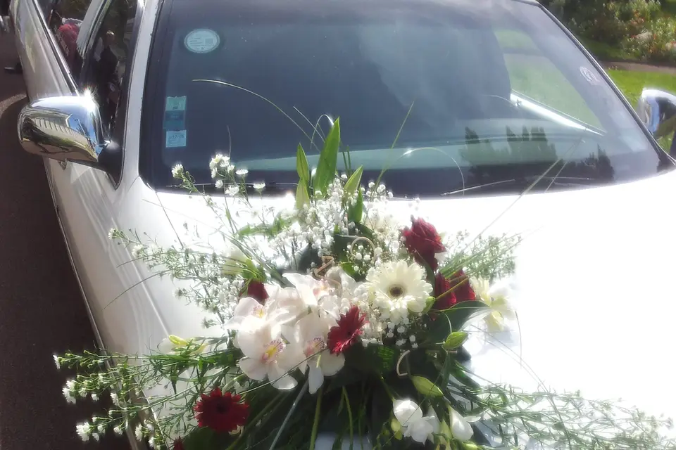 Atlantic Limousine — photo 5