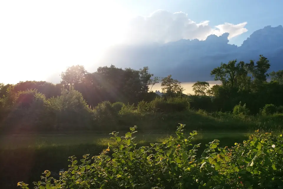 Le Fort de Bruyères — photo 2