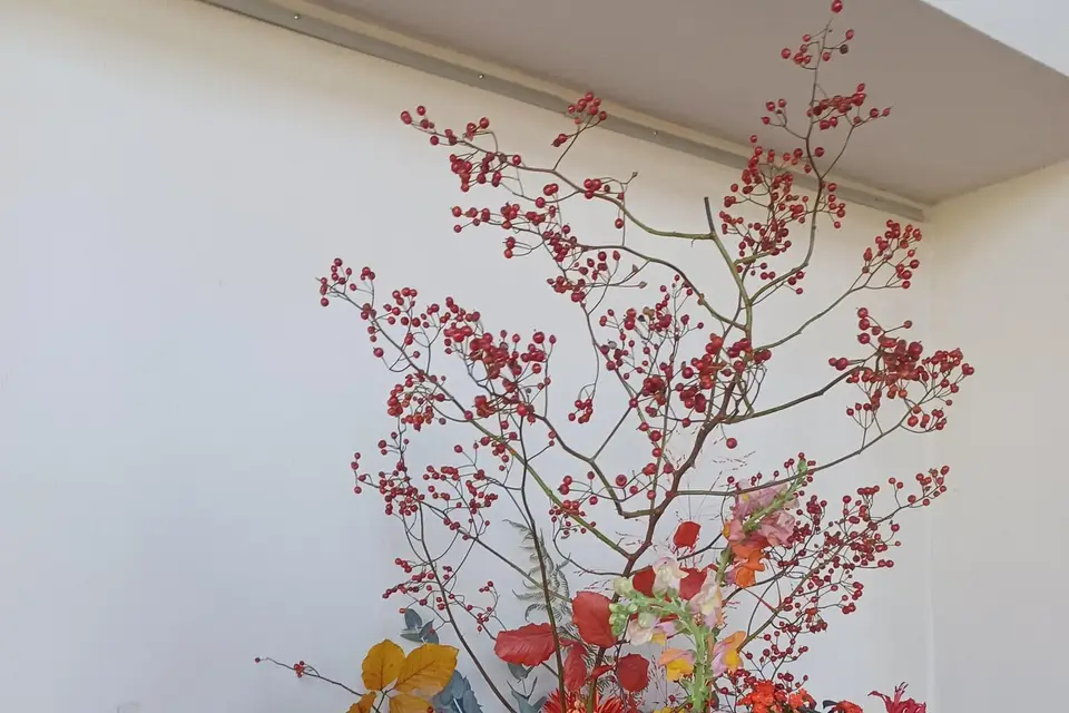 Mag Florist — photo 3