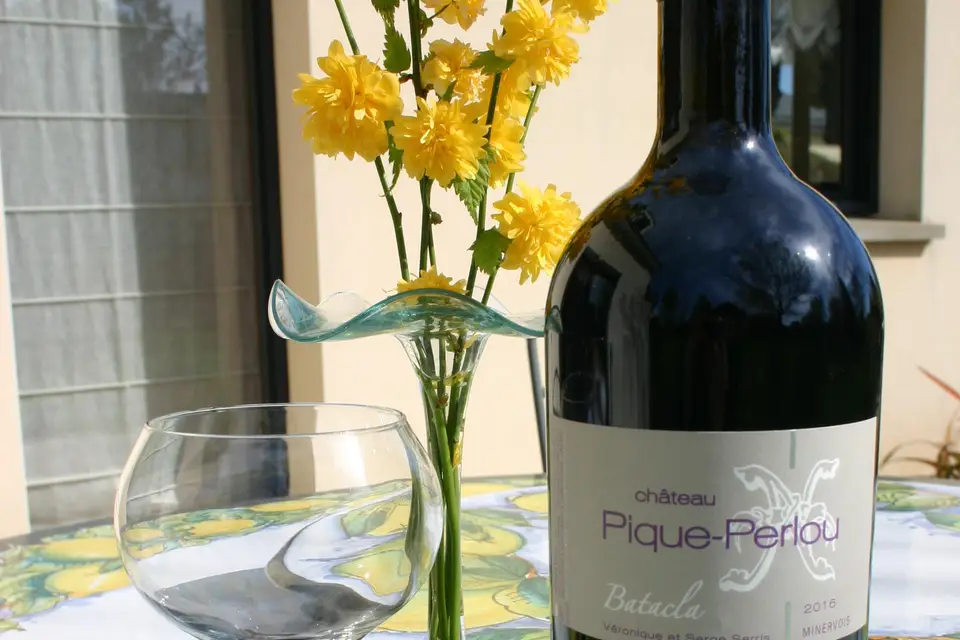 In Vino Bacchetta — photo 3