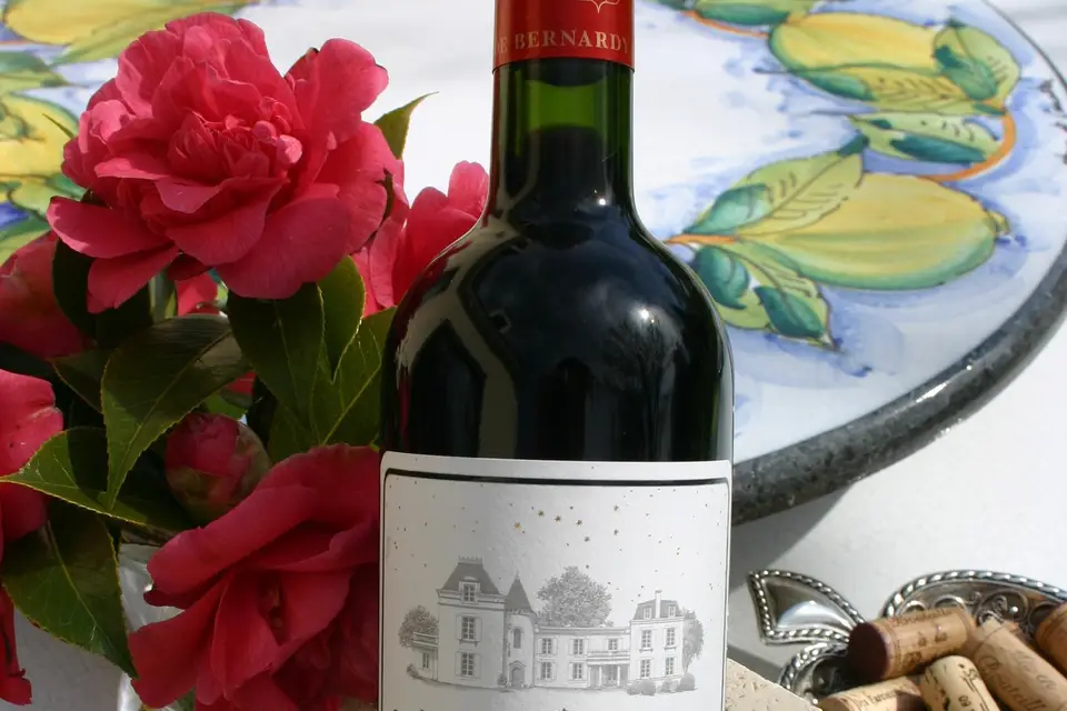 In Vino Bacchetta — photo 4