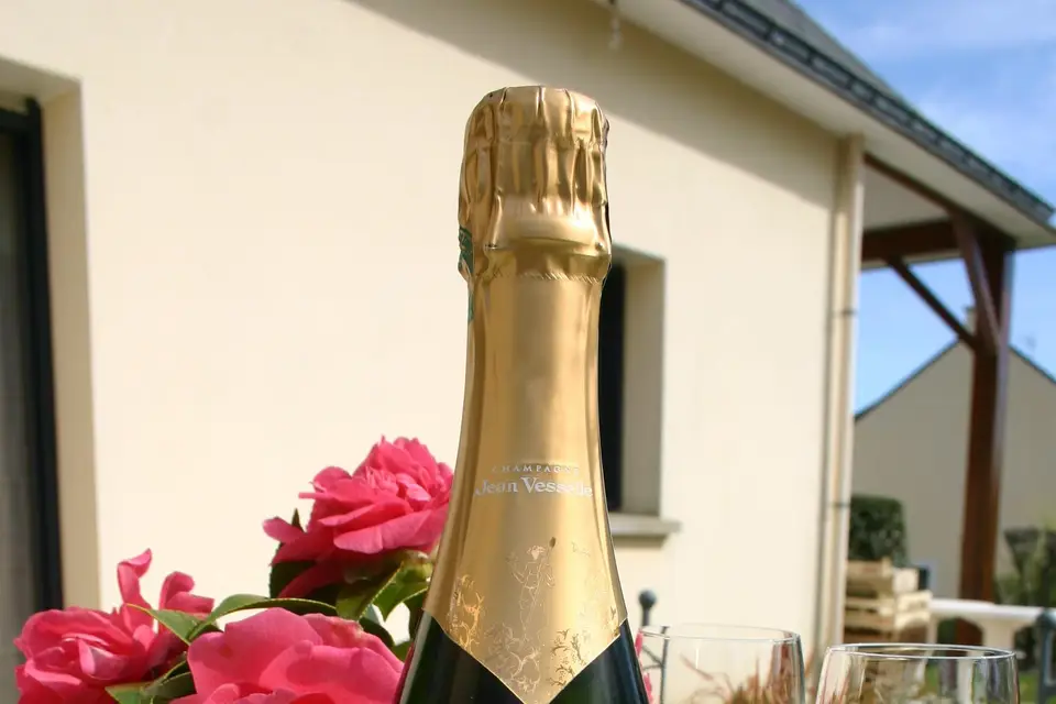 In Vino Bacchetta — photo 5