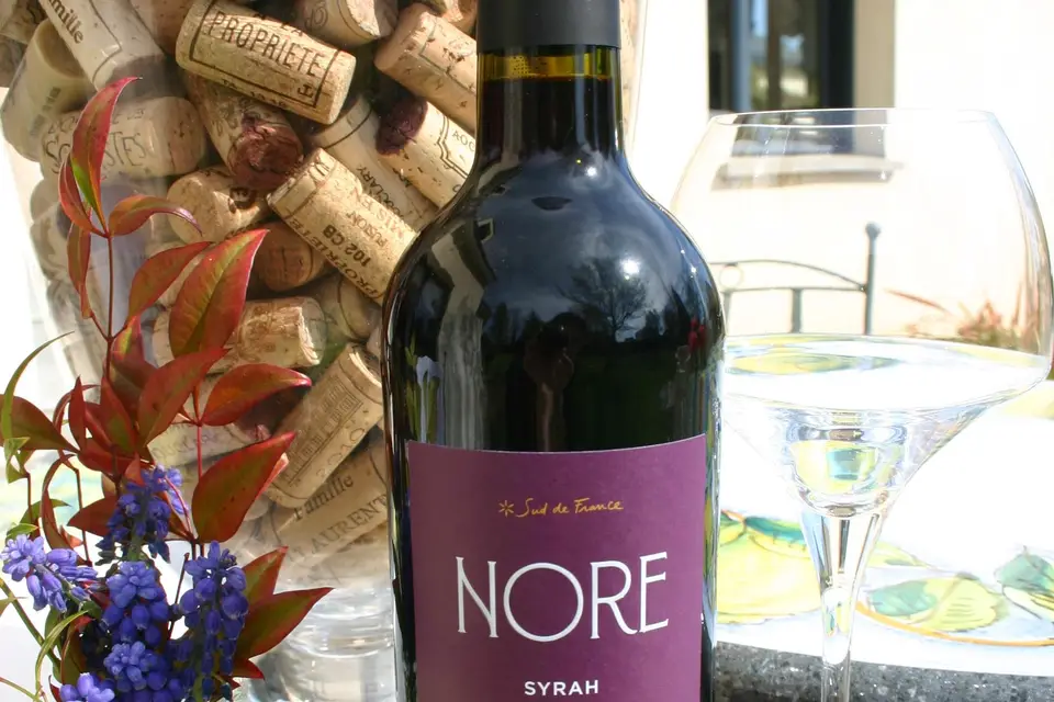 In Vino Bacchetta — photo 6