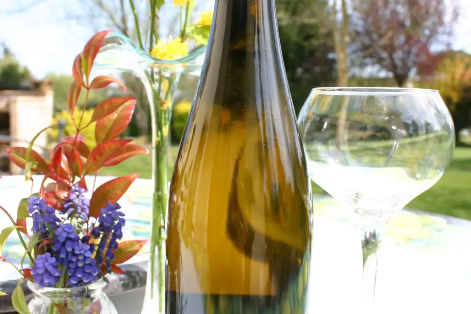 In Vino Bacchetta — photo 7