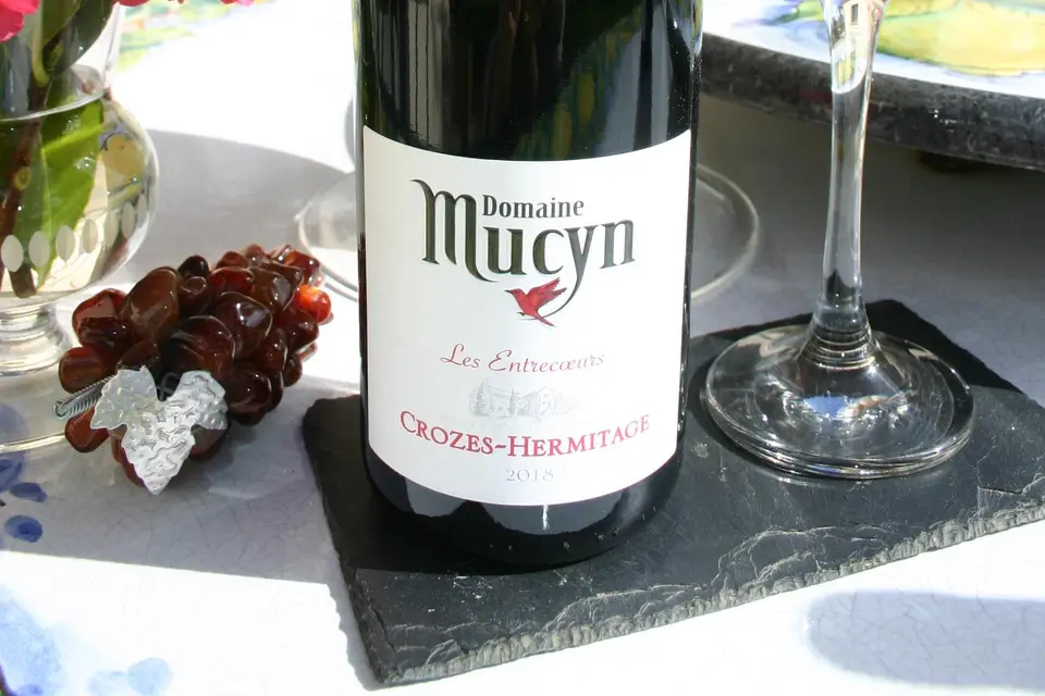 In Vino Bacchetta — photo 8