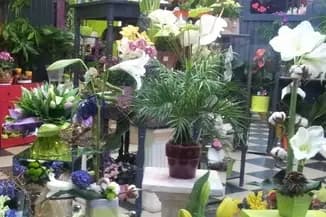 La Magie des Fleurs — photo 3