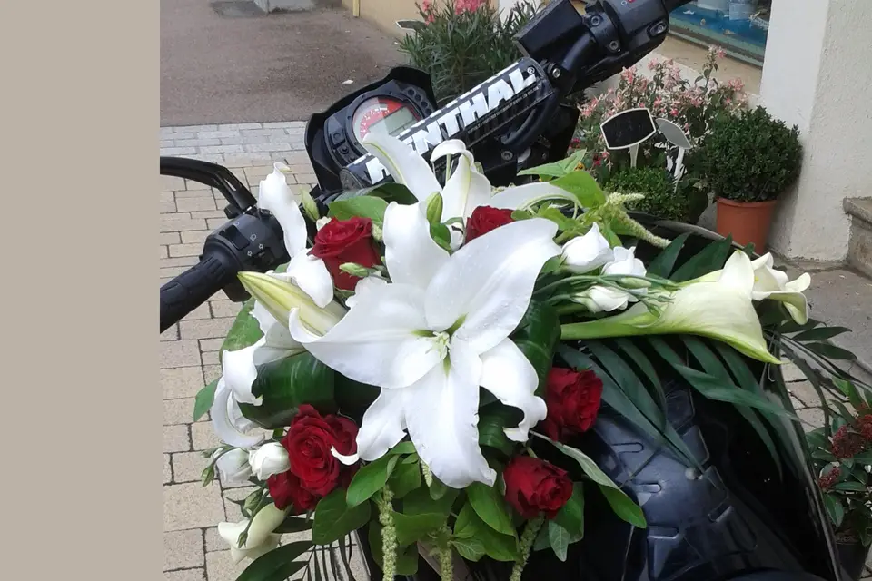 Atelier Nature — photo 6