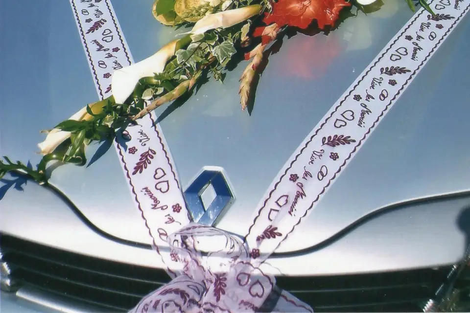 Atelier Nature — photo 7