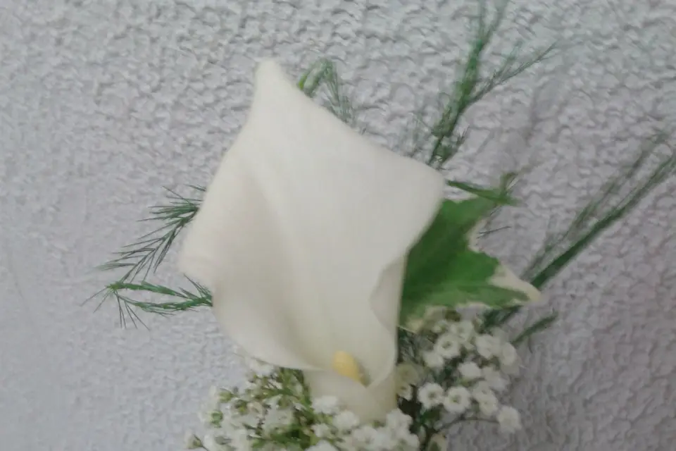 Atelier Nature — photo 5