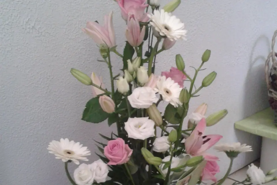 Atelier Nature — photo 1