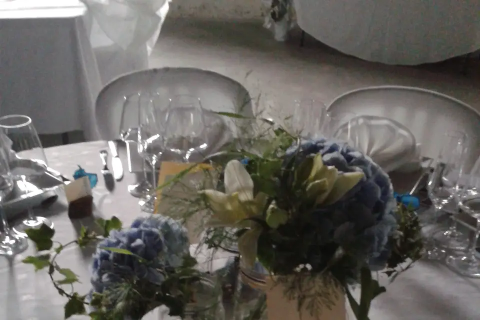 Atelier Nature — photo 2