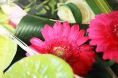 SRCréation — photo 7