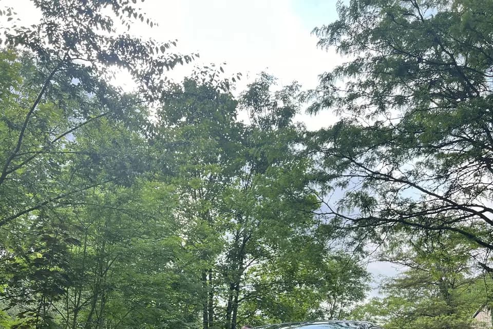 Prestige & Passion — photo 6