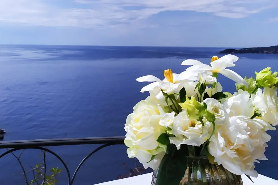 Mystic Creation — photo 5