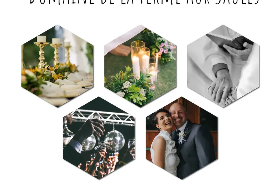 Domaine de la Ferme aux Saules — photo 2