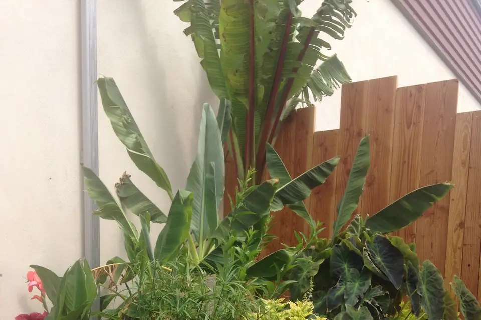 Pro Race Cafe — photo 4