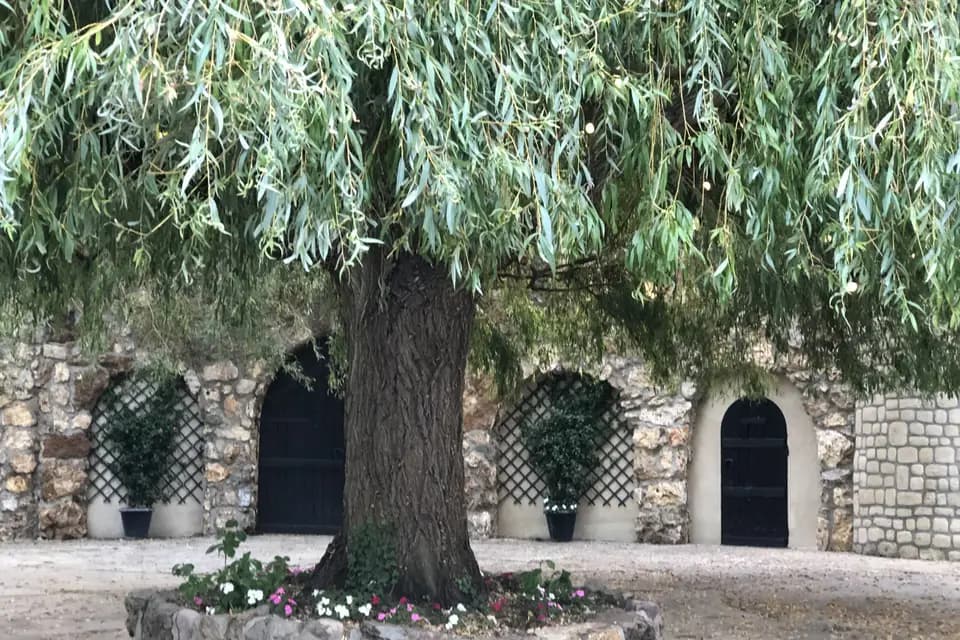 Domaine de la Ferme aux Saules — photo 5