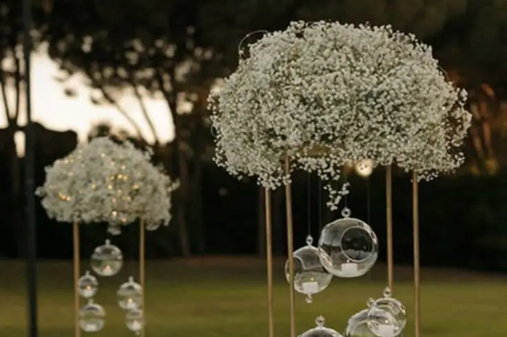 Nayvents — photo 4