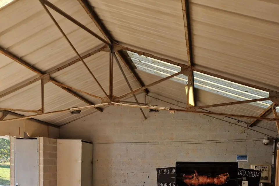 Le Territoire Du Cochon — photo 8