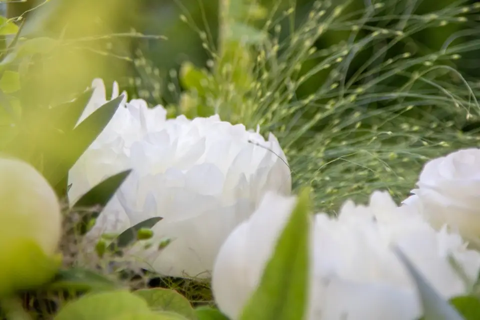 Fol´Artmonie — photo 4