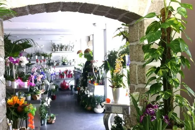 Allard Fleurs — photo 2