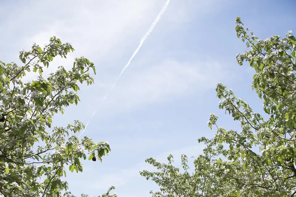 Château de la Bussière — photo 8