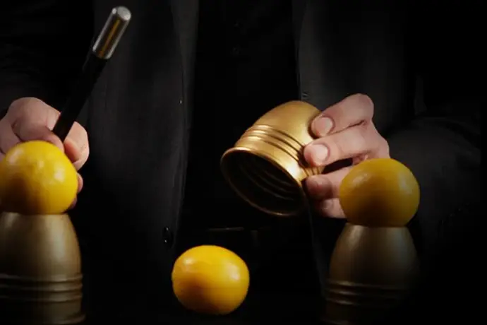 J.S. Bajolet - Le Magicien Pro — photo 7