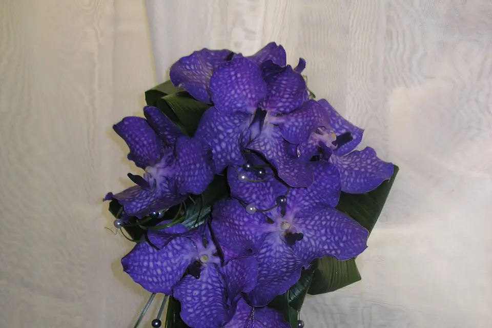 Art Floral Maison Terramatte — photo 7