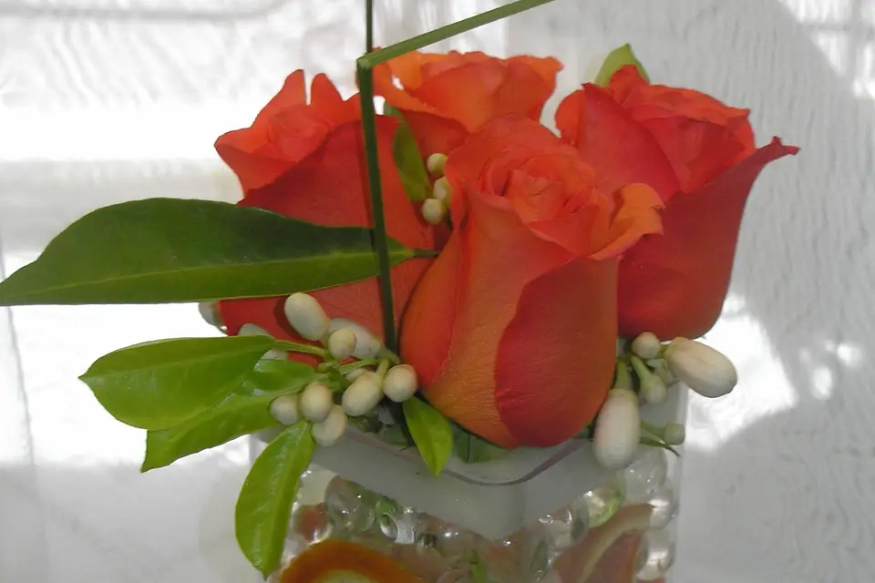 Art Floral Maison Terramatte — photo 6