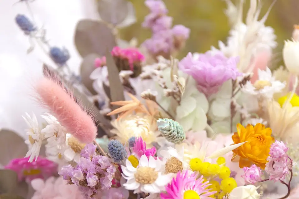 Brins de Poésie — photo 2