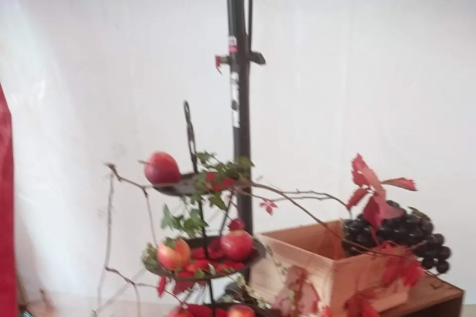 Instant Rêvé — photo 6