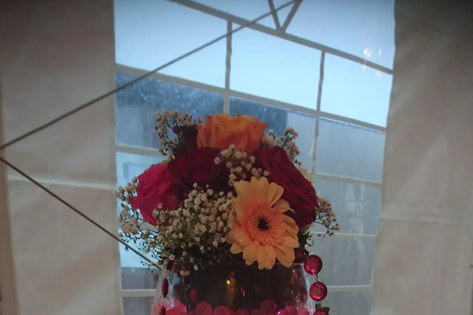 Instant Rêvé — photo 5