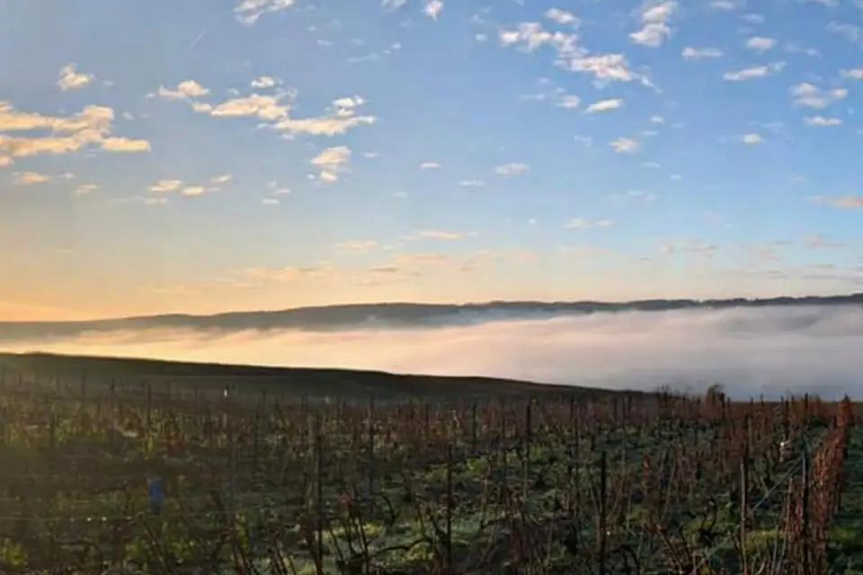 Champagne Prunet-Guinard — photo 6