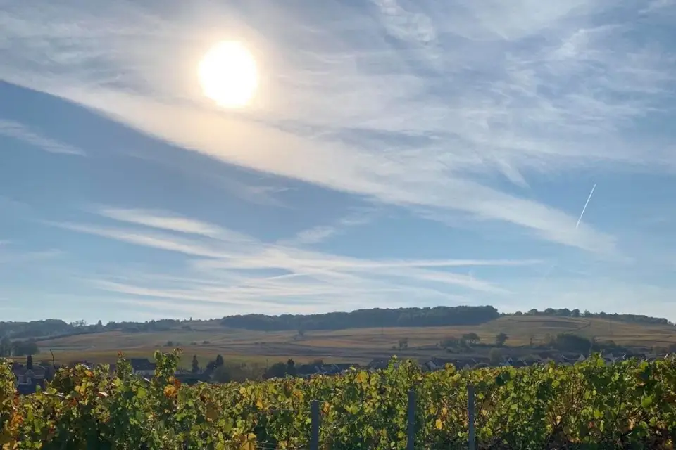 Champagne Prunet-Guinard — photo 7