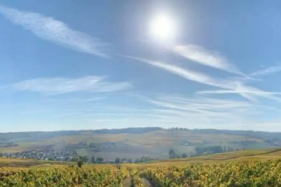 Champagne Prunet-Guinard — photo 8